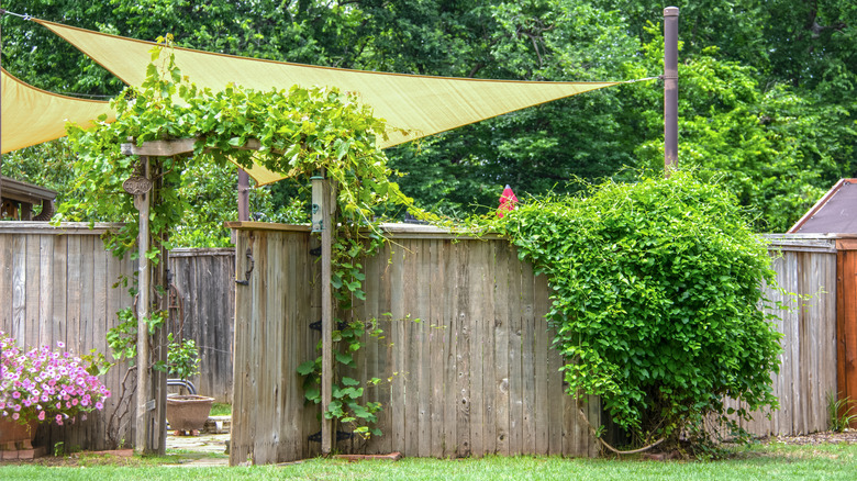 sail awnings shading fenced patio 