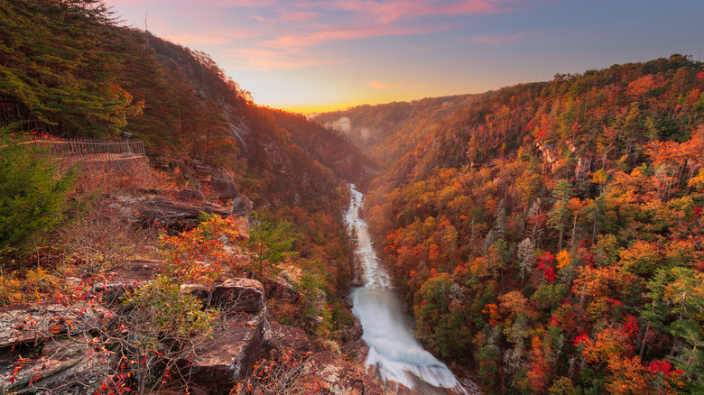 Georgia landscape