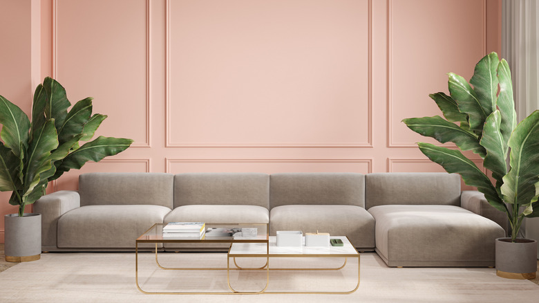 peachy color for accent wall in living room