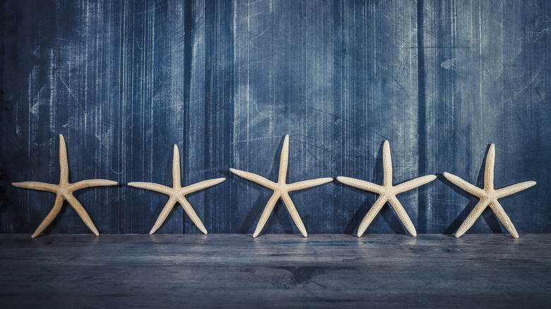 blue accent wall with starfish