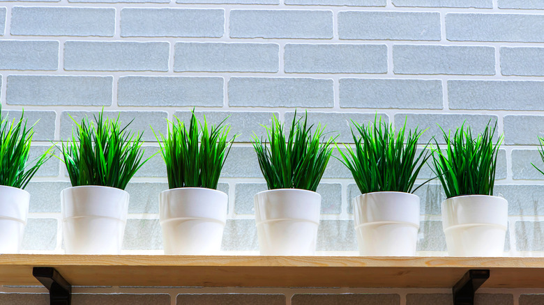 blue fake brick wall with plants