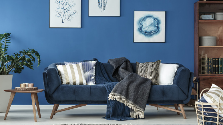 navy blue accent wall with blue couch