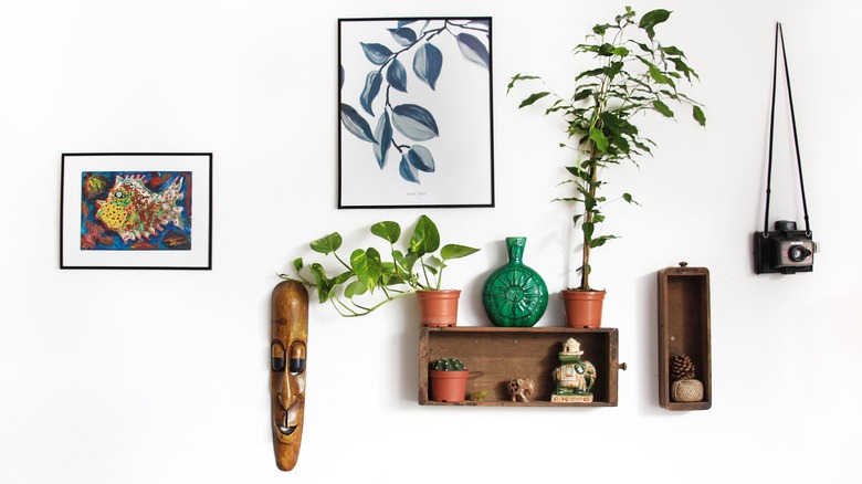 gallery wall with plants