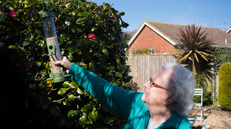 woman setting up bird feeder