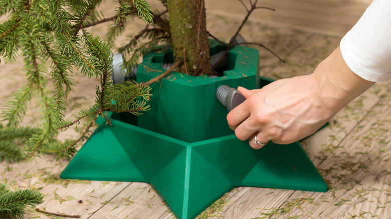 Placing a Christmas tree