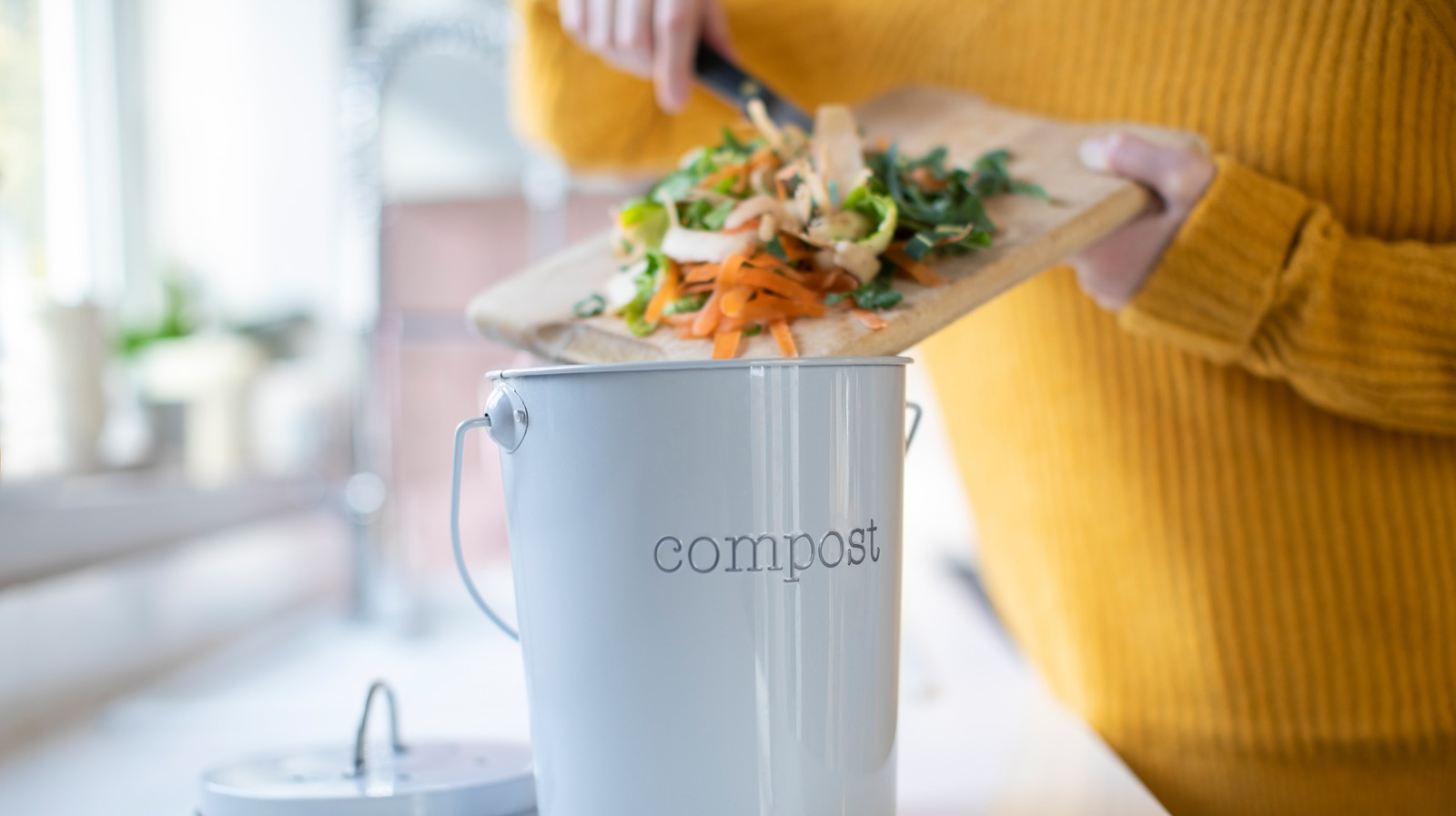 https://www.housedigest.com/img/gallery/the-5-best-compost-bins-you-need-in-your-kitchen/l-intro-1667309752.jpg