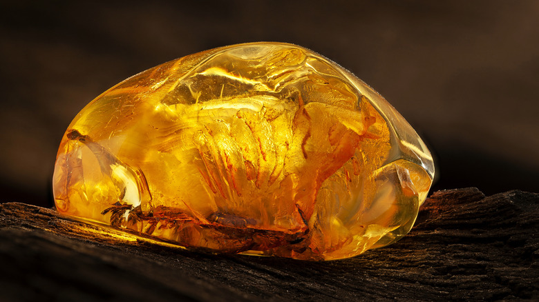 Piece of amber