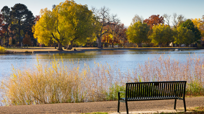 Washington Park lake in autumn