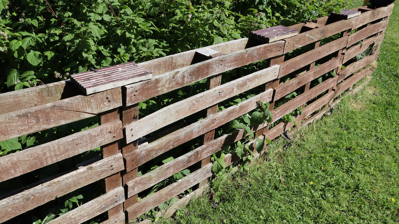 Fence made from old pallets