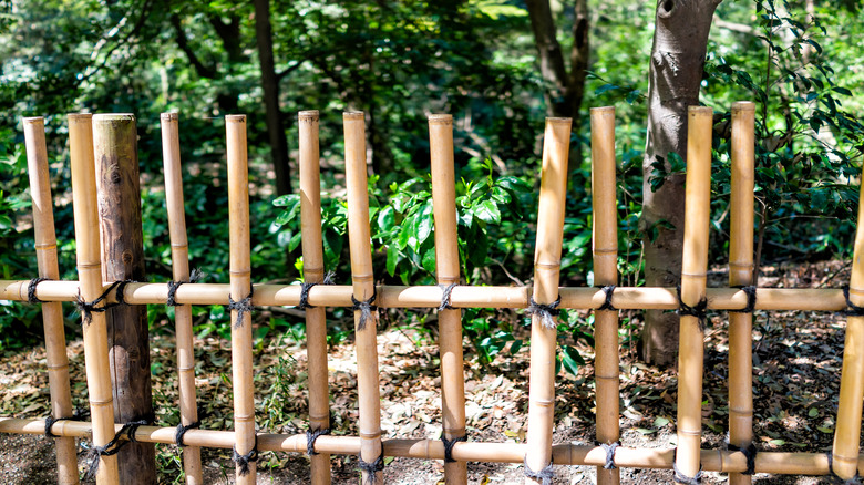 Tied bamboo fence