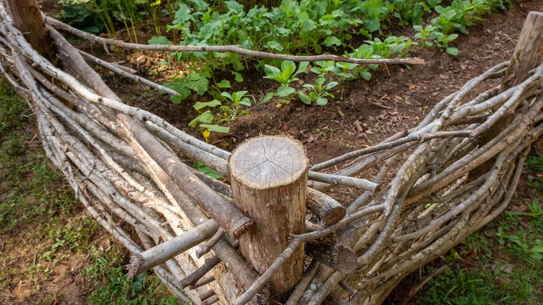 Woven branch fence