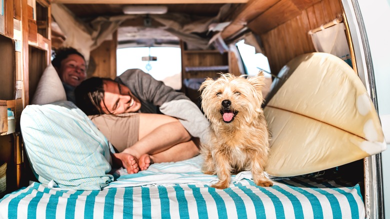 Couple and dog in van