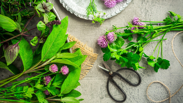 fresh bunches of chives