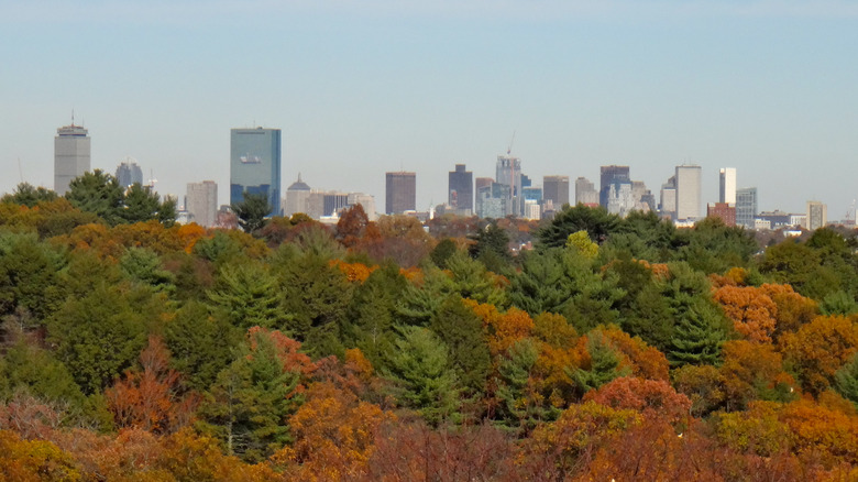 jamaica plain in fall