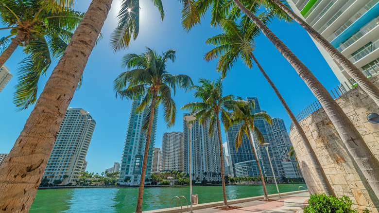 Downtown Miami waterfront condos