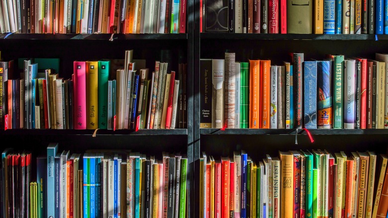 Black painted book shelves