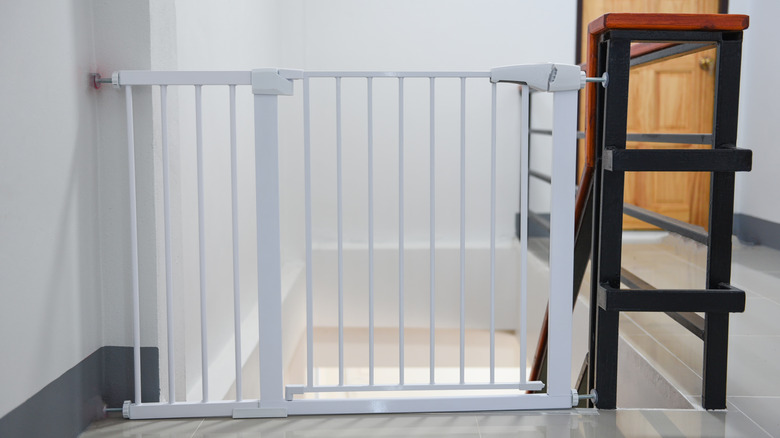 dog gate by stairs