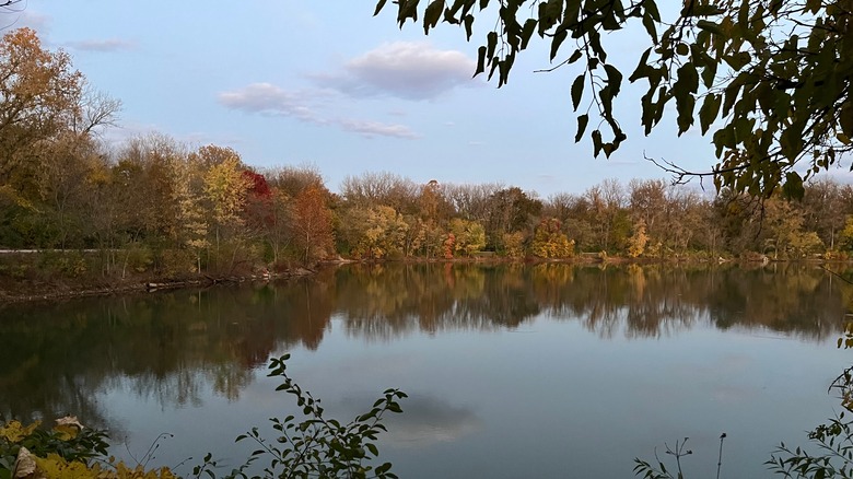 Antrim park shoreline