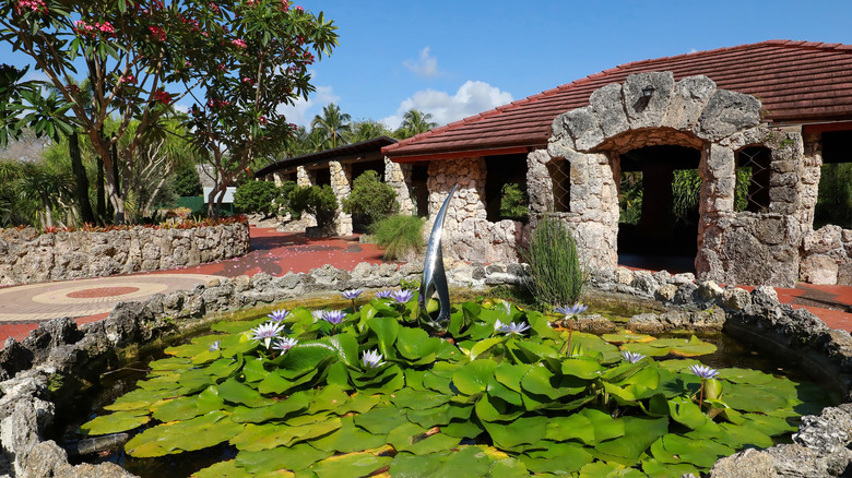 Water lilies in Pinecrest Gardens