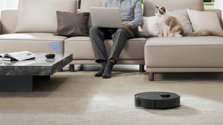 cat on couch behind roaming robot vacuum