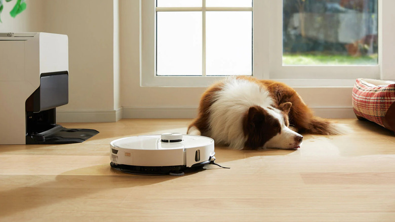 fluffy dog napping by robot vacuum