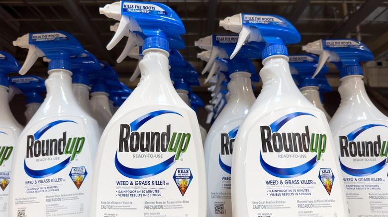 bottles of Roundup