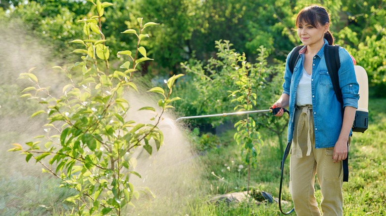 vinegar backpack sprayer