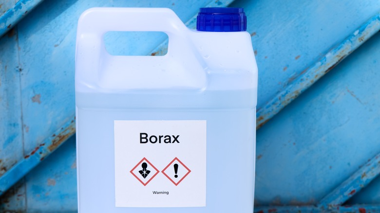 gallon of borax