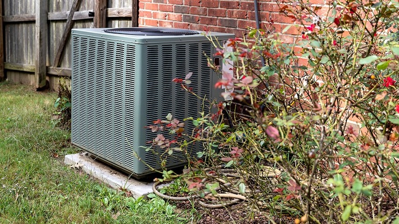 AC condenser next to bush