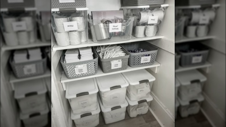 Storage containers in a closet