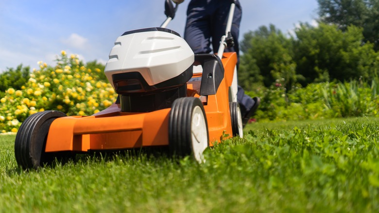 Mowing lawn