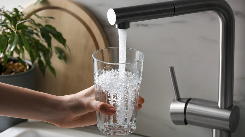 water running out of kitchen faucet into glass