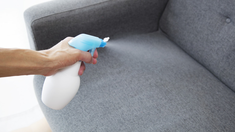 Hand spraying gray sofa