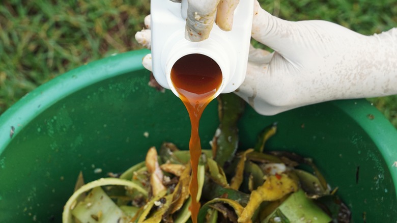 Pouring compost activator into pile