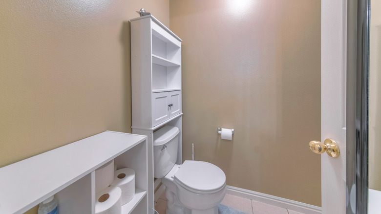 Bathroom with standing storage cabinet above toilet