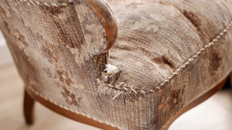 close up damaged vintage armchair