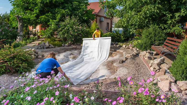 people constructing backyard pond