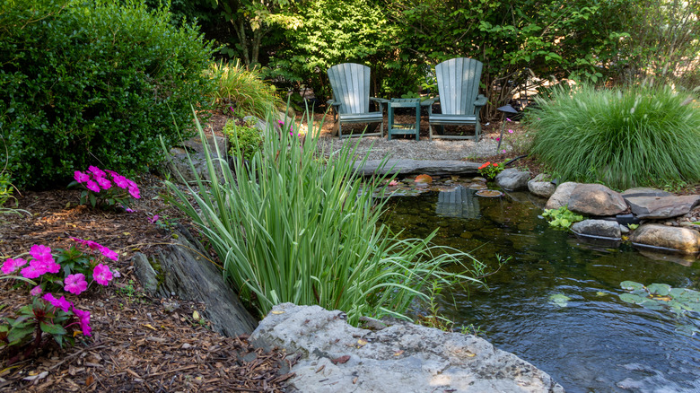 backyard with pond and flowers