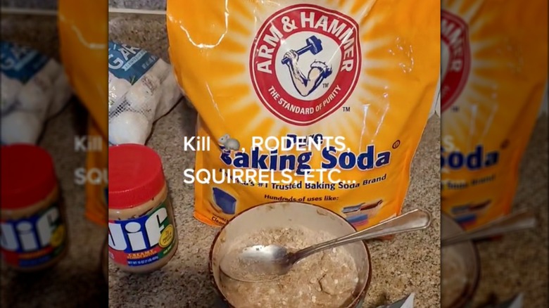 Peanut butter and baking soda DIY rat poison