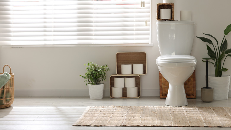 Bathroom design mistake of toilet being focal point