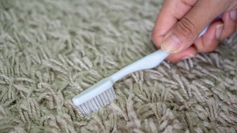 Toothbrush scrubbing carpet