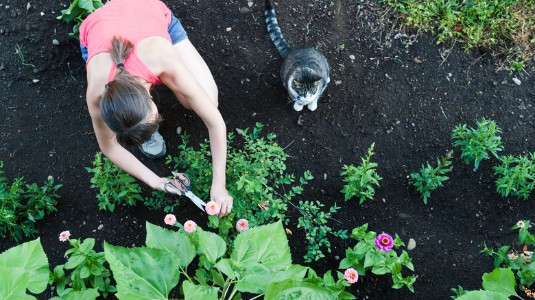 Woman in garden with cat