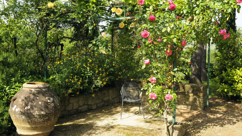 Beautiful Tuscan garden 