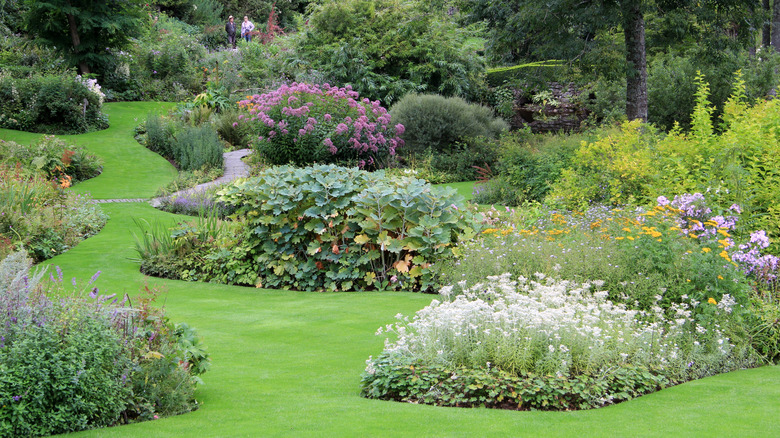 Beautiful flowering garden beds with multiple purple flowers