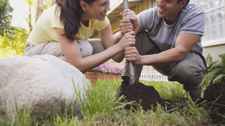 Couple planting tree