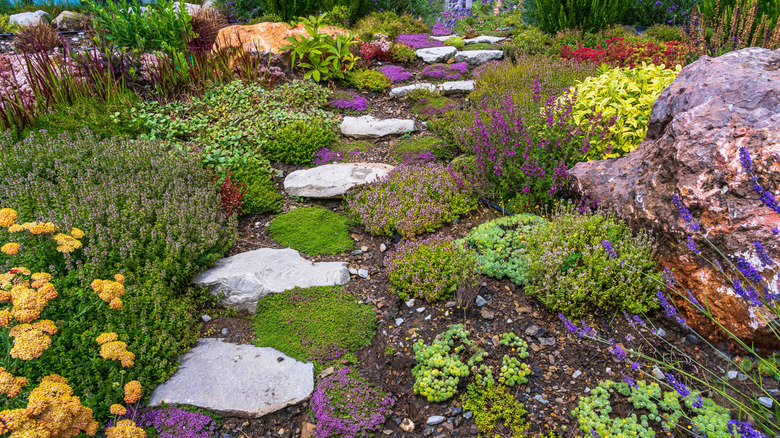 Path of white cobblestones in the garden with perennials and grasses with sage.