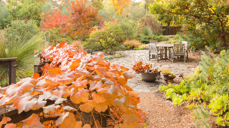 colors of a fall garden