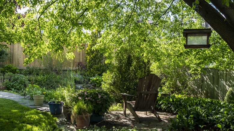 A shady garden with landscaping, potted plants, and seating area