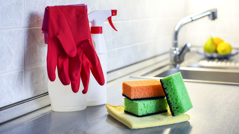 spray bottle with sponges