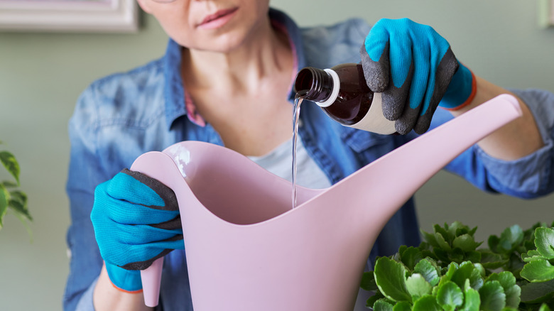 woman adding fertilizer to water